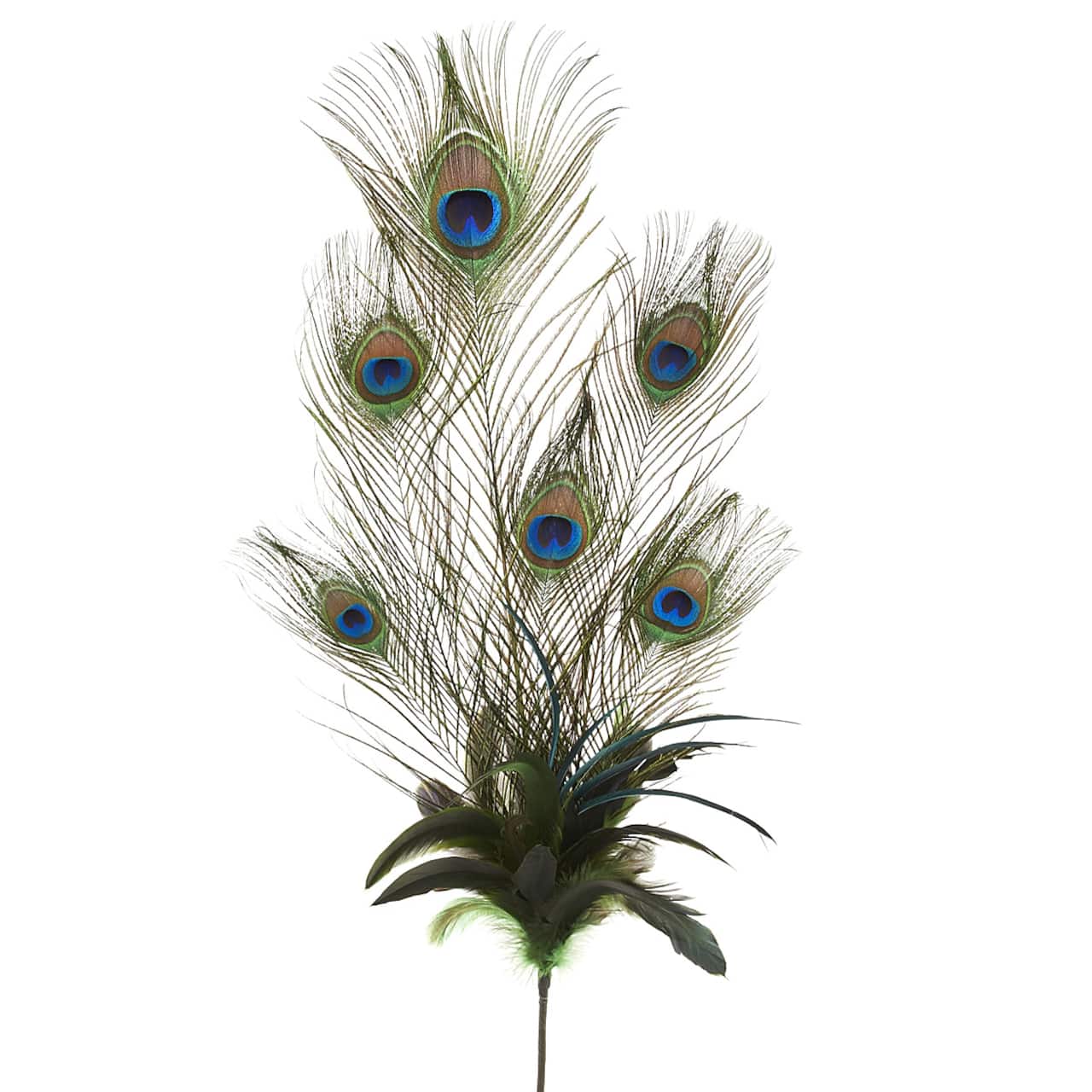 12 Pack: Peacock Feather Pick by Ashland®
